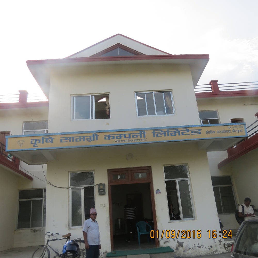 पानी परेसँगै युरियाको प्रयोग बढ्यो