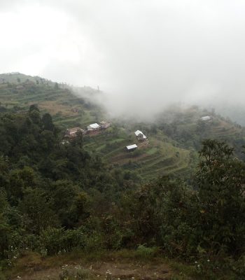 मावि सञ्चालन गर्न देउसीभैलो खेलेर रु. ५ लाख सङ्कलन
