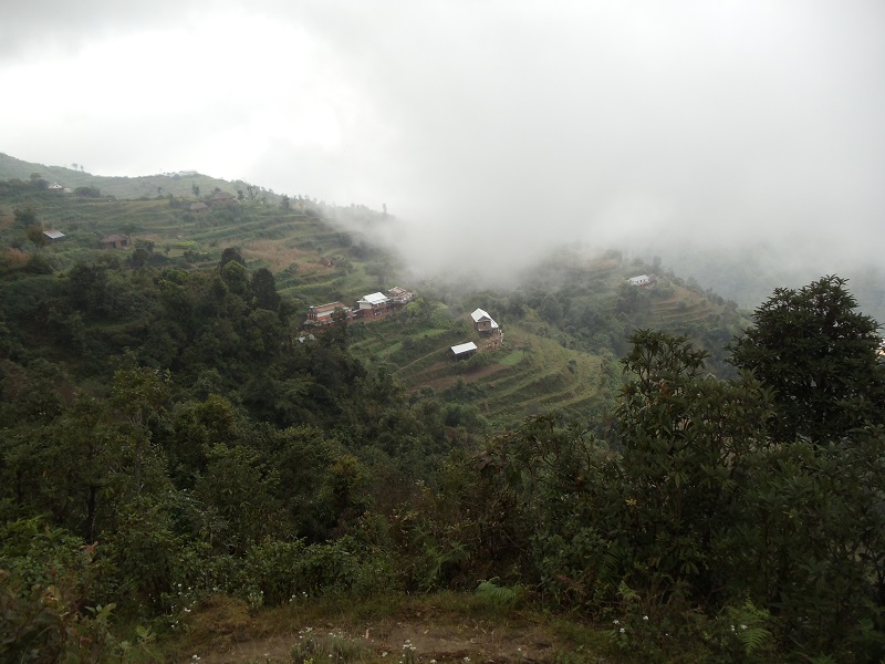 मावि सञ्चालन गर्न देउसीभैलो खेलेर रु. ५ लाख सङ्कलन