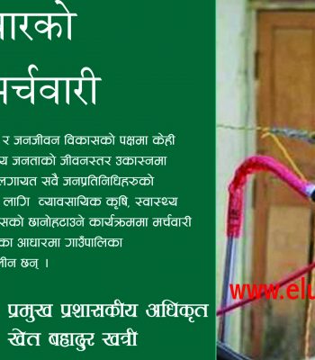 समग्र मर्चवारको विकासमा मर्चवारी