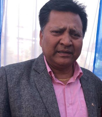 बिकास निर्माणमा व्यवसायिकको भूमिका
