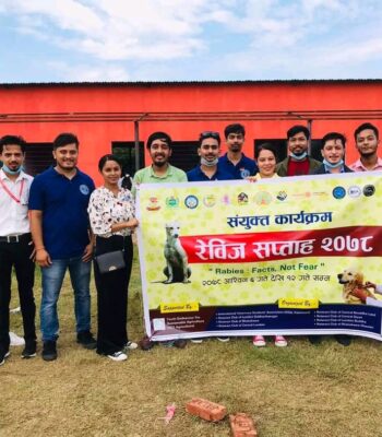 रोट्रयाक्ट क्लबहरुको संयुक्त आयोजनामा रेबिज सप्ताह सुरु