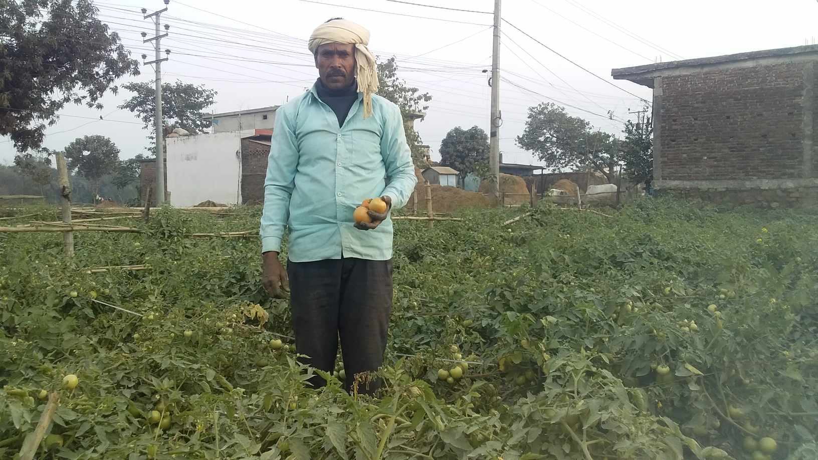 वैदेशिक रोजगारबाट फर्केर कृषिबाट लाखौं आम्दानी गर्दै