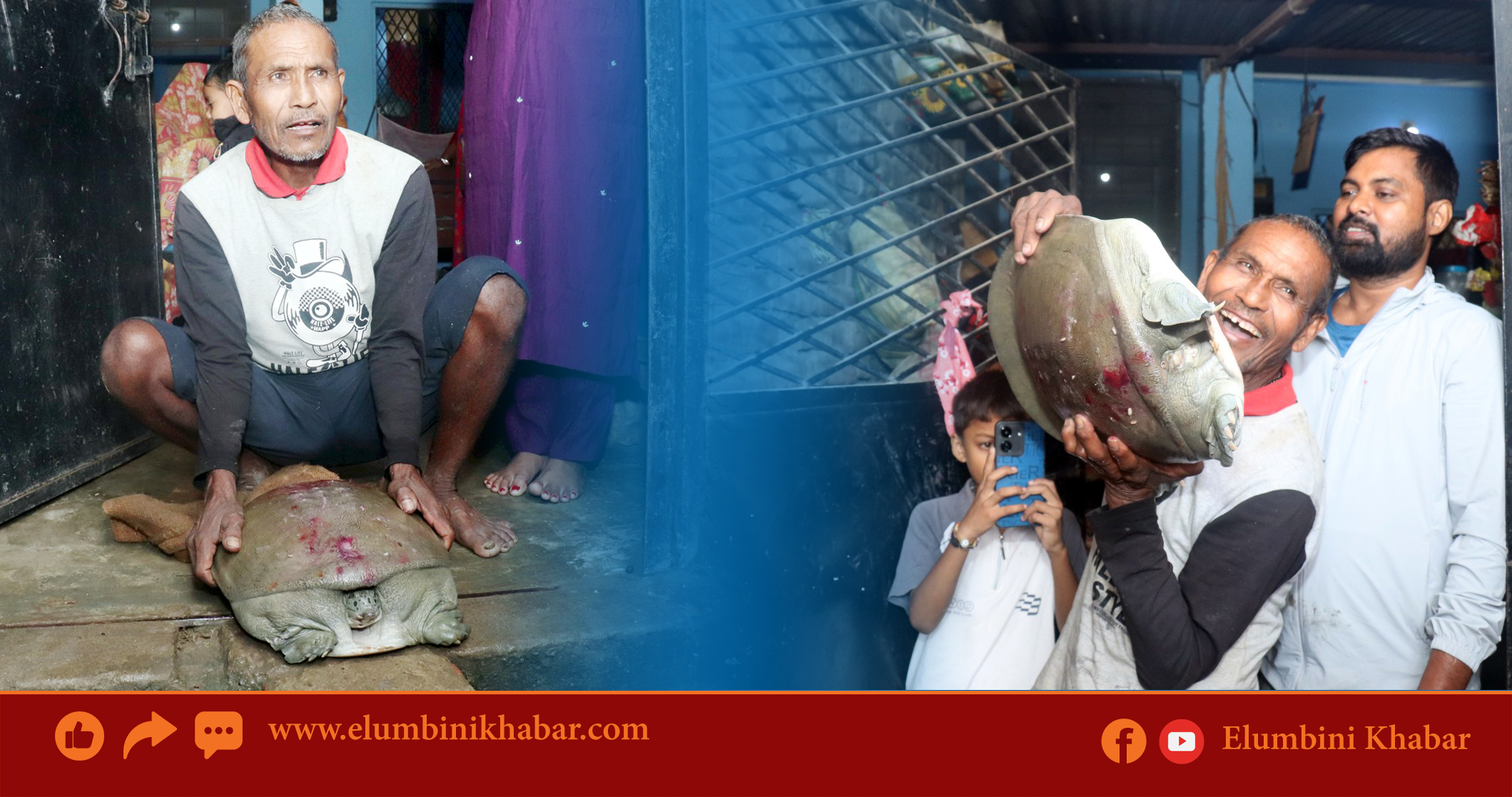 सियारीमा भेटियो ११ किलोको विशाल कछुवा, गाउँभरी सनसनी