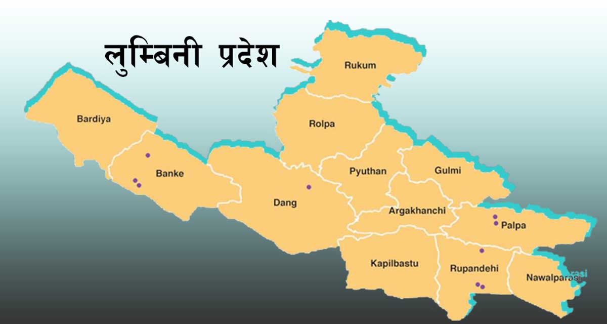 स्वास्थ्य संस्थाको नवीकरणमा व्यवहारिक नीति बनाउन माग